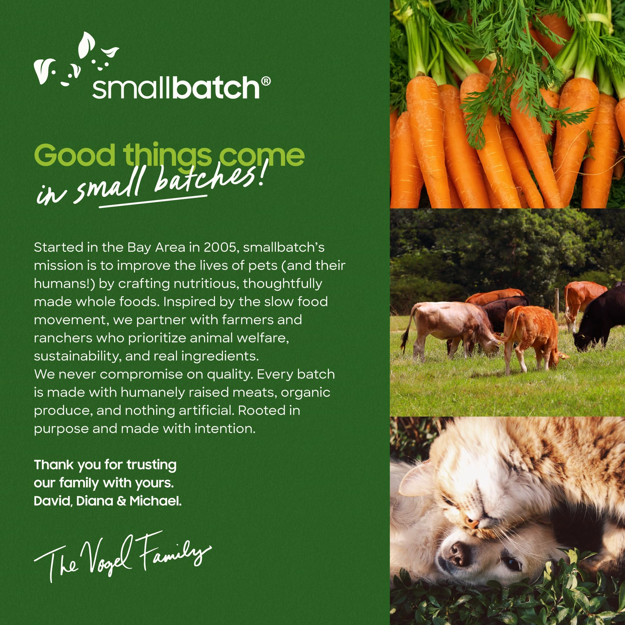 smallbatch chien heureux: récompense savoureuse lors de l'entraînement