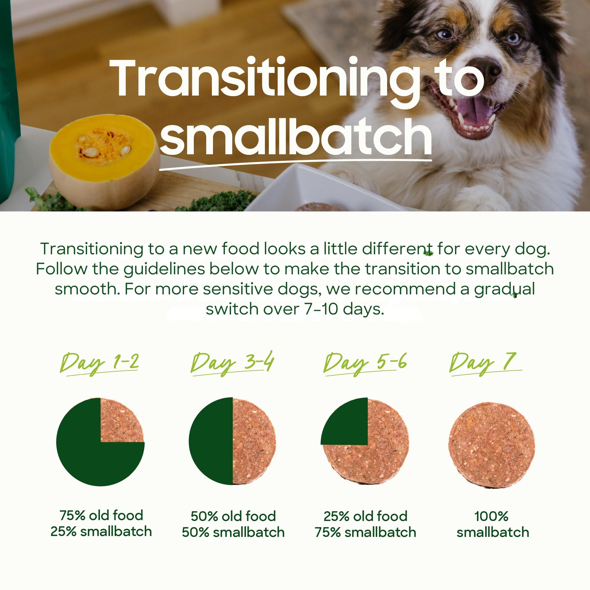 Smallbatch Pets Hydratation Rapide : réhydratation simple pour un repas nutritif.
