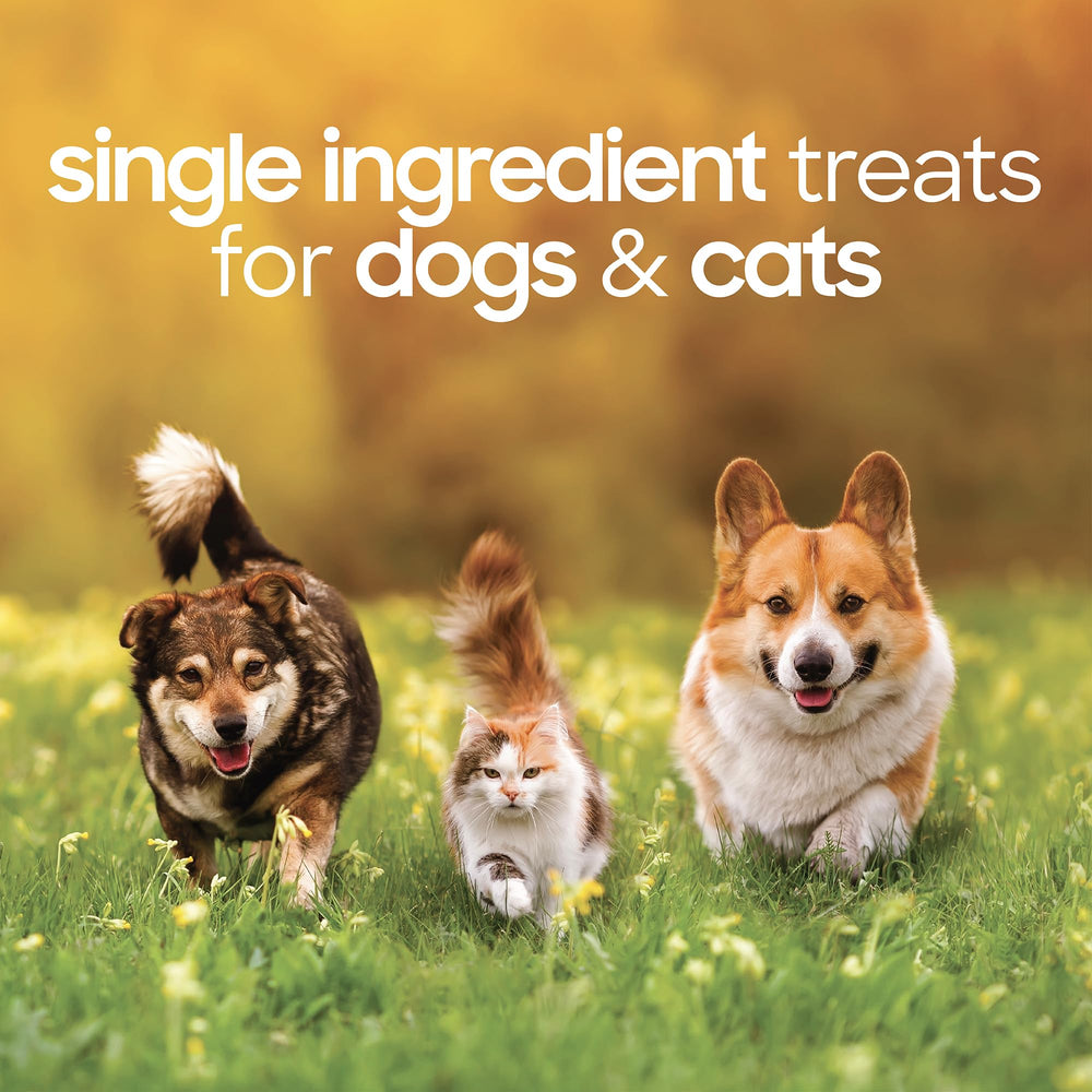 smallbatch protéine élevée ingrédient unique: régime simple et clair
