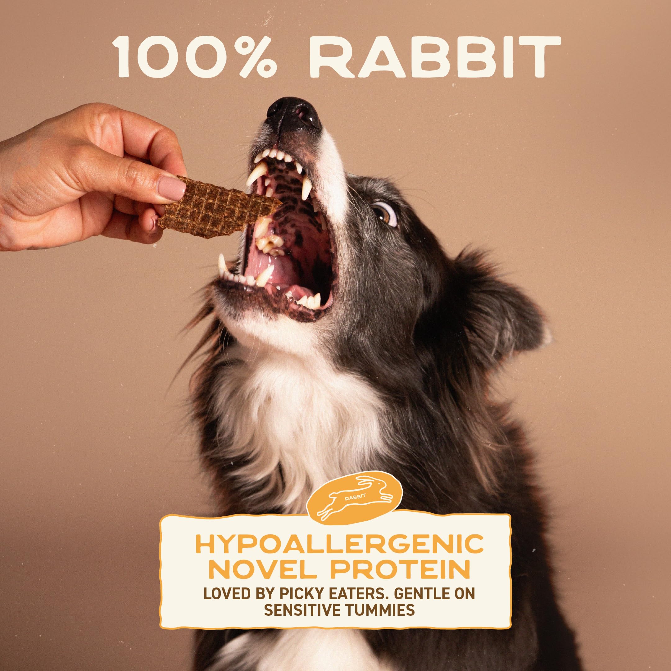 Smart Cookie Ingrédient unique Lapin, sans additifs pour friandise simple.