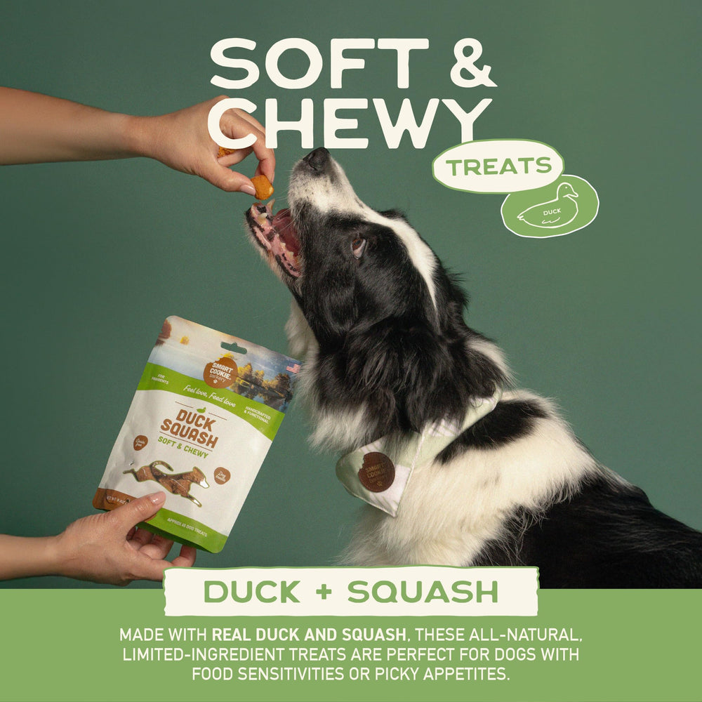 Smart Cookie petits morceaux en entrainement - texture tendre facilitant les séances de dressage.