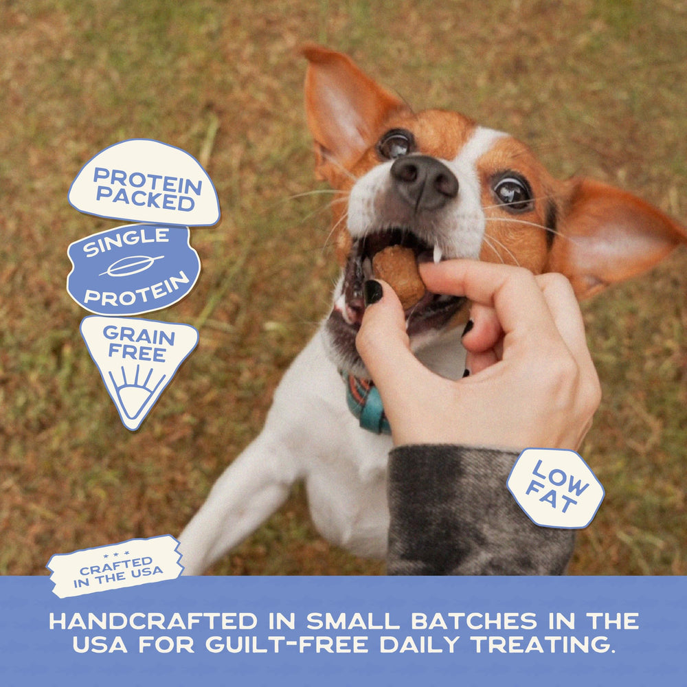 Smart Cookie sans céréales, option grain-free pour chiens sensibles.