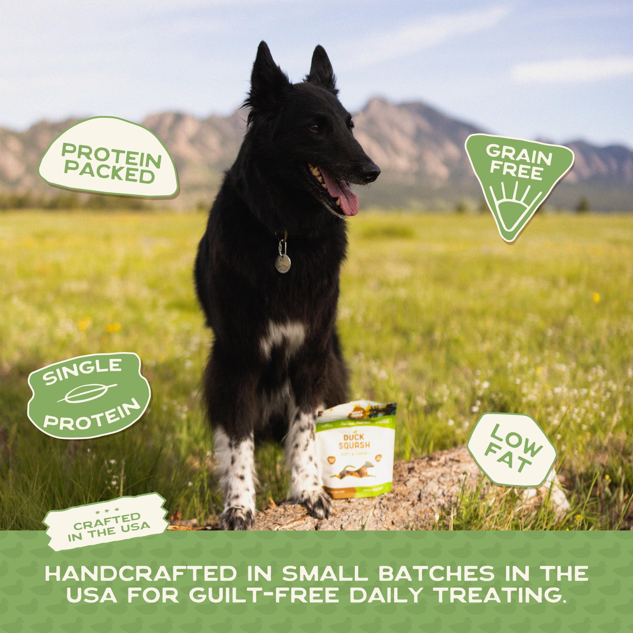 Smart Cookie sans farine - option simple et naturelle pour chien.