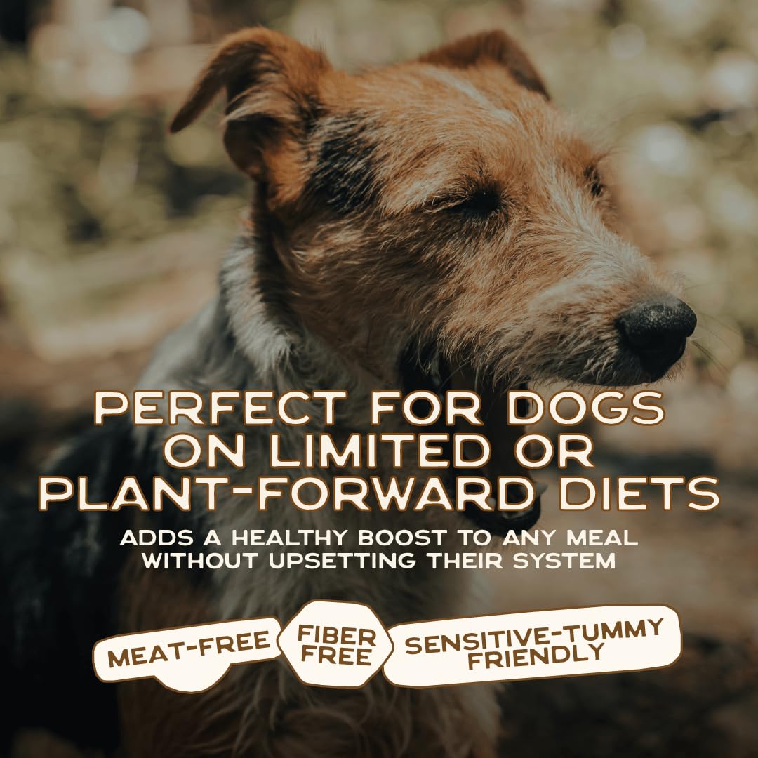 Smart Cookie topper vegan pour chien, adapté à tous les âges