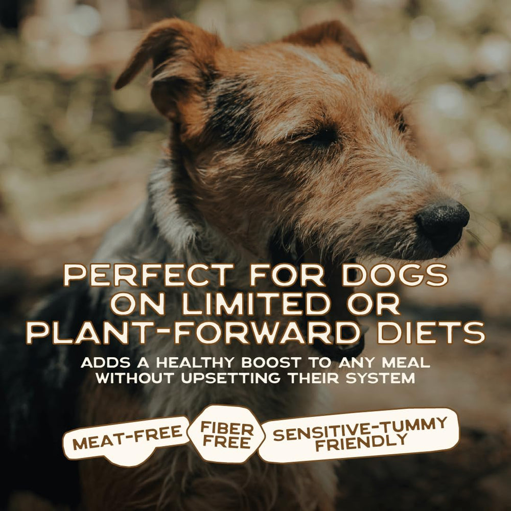 Smart Cookie topper vegan pour chien, adapté à tous les âges