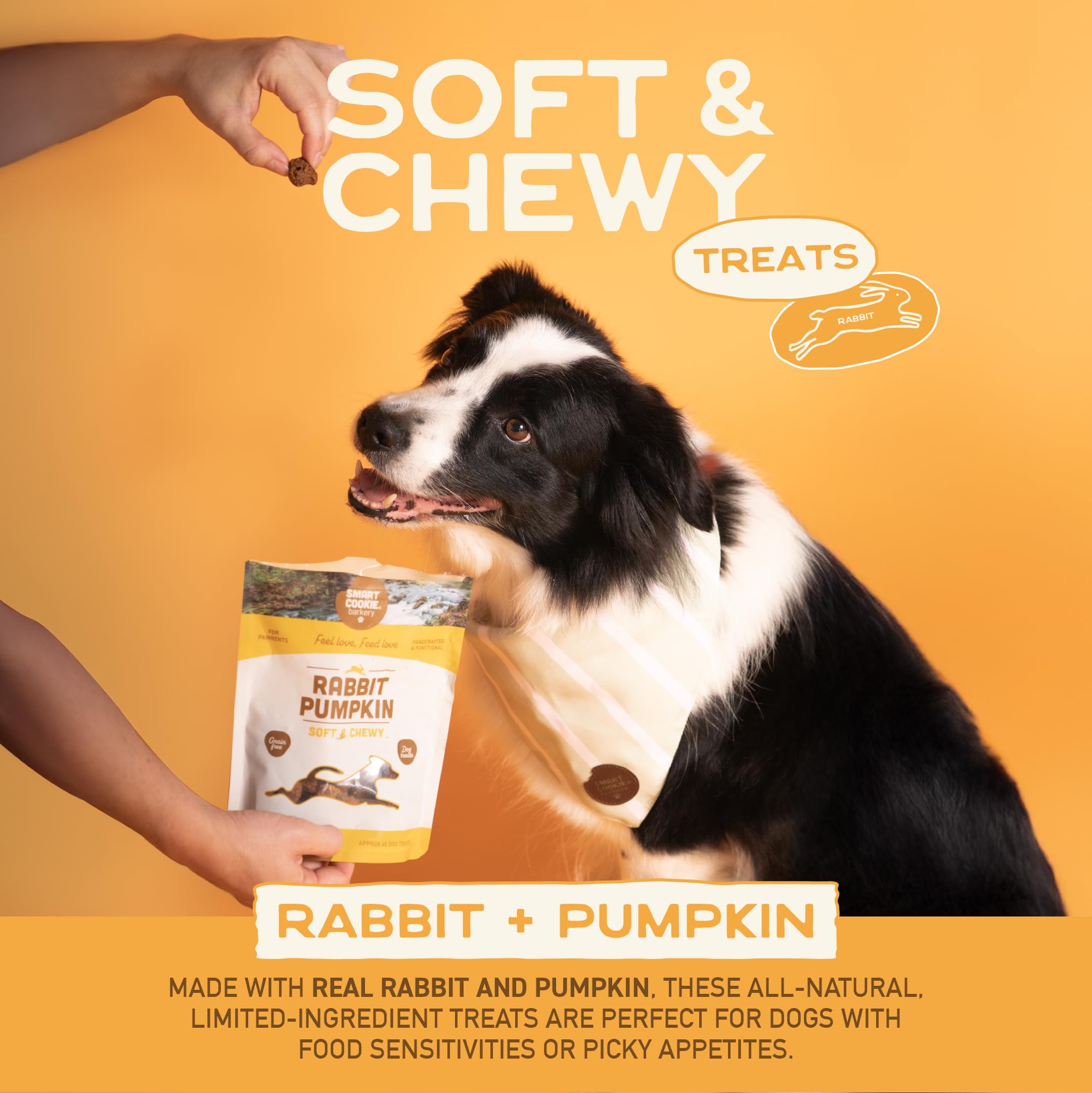 Smart Cookie truite pomme biscuits: bouchées savoureuses pour entraînement et collations.