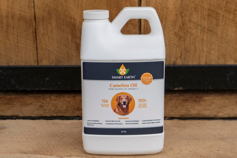 Smart Earth huile camelina pour chien – utilisation quotidienne simplifiée sur repas.