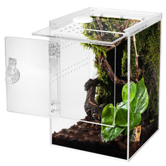 Smartang enclos tarentule arboricole – hauteur adaptée pour l'exploration verticale.
