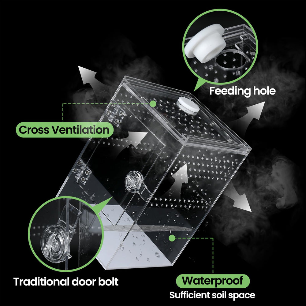 Smartang enclos tarentule arboricole – ouverture frontale facilitant alimentation et nettoyage.