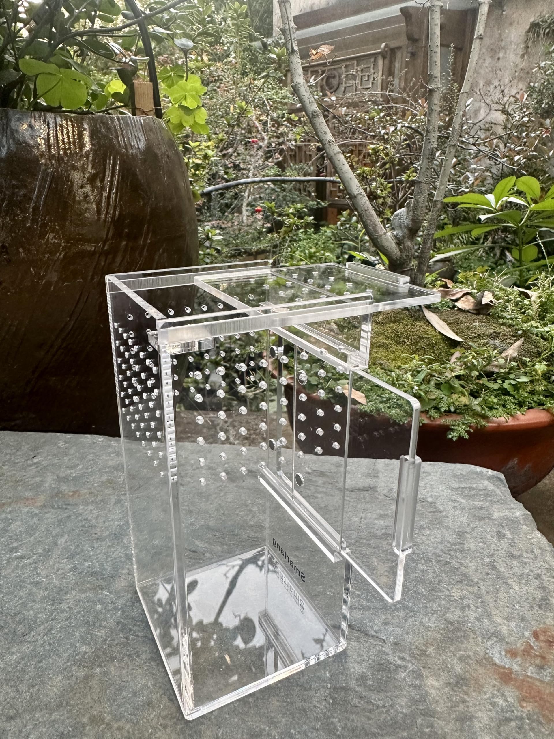 Terrarium Smartang convivial, idéal pour débutants et observation d’insectes.