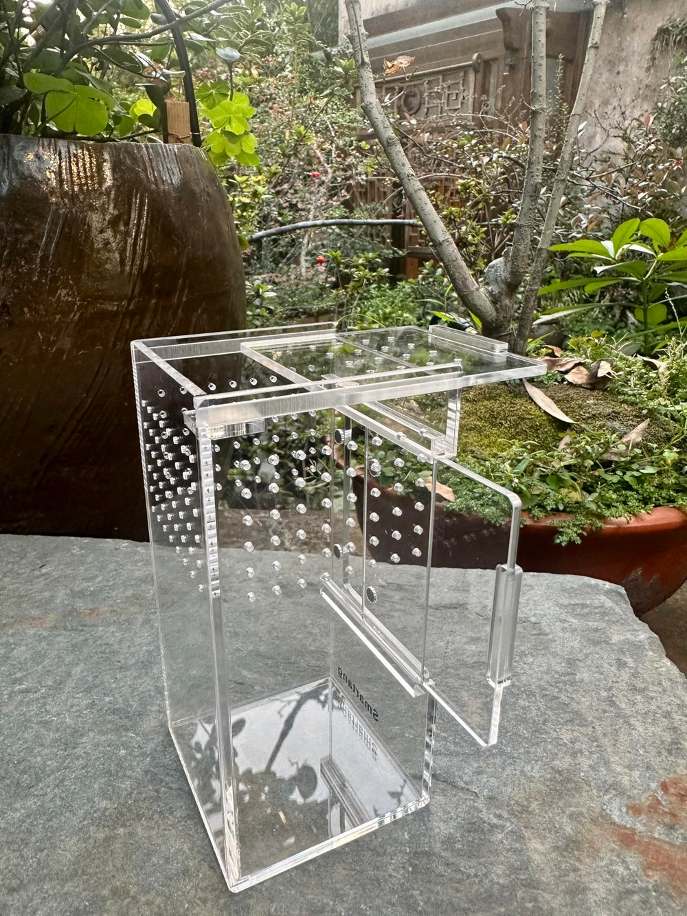 Terrarium Smartang convivial, idéal pour débutants et observation d’insectes.
