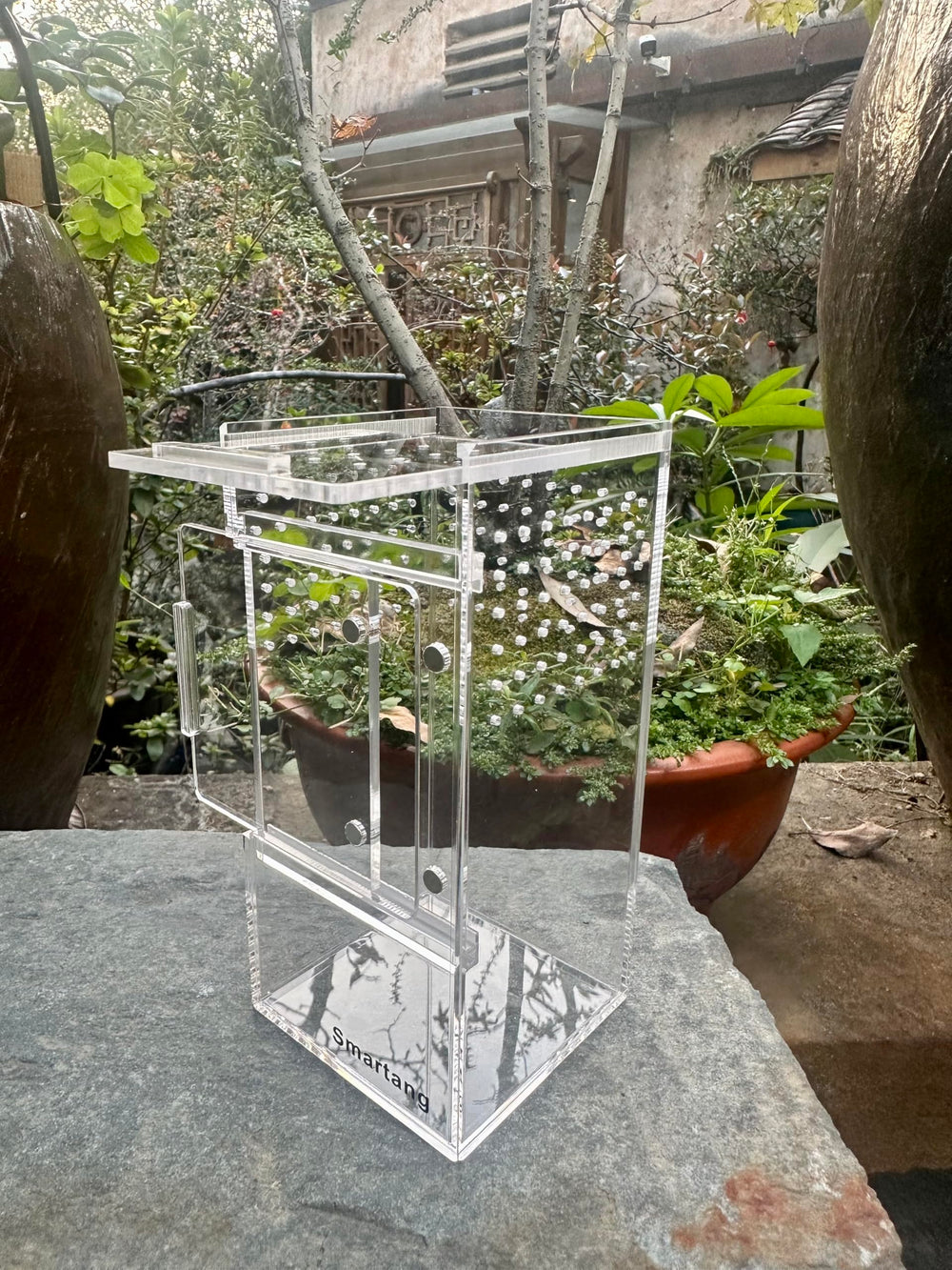 Terrarium Smartang à deux portes facilite l’alimentation sans endommager les toiles.