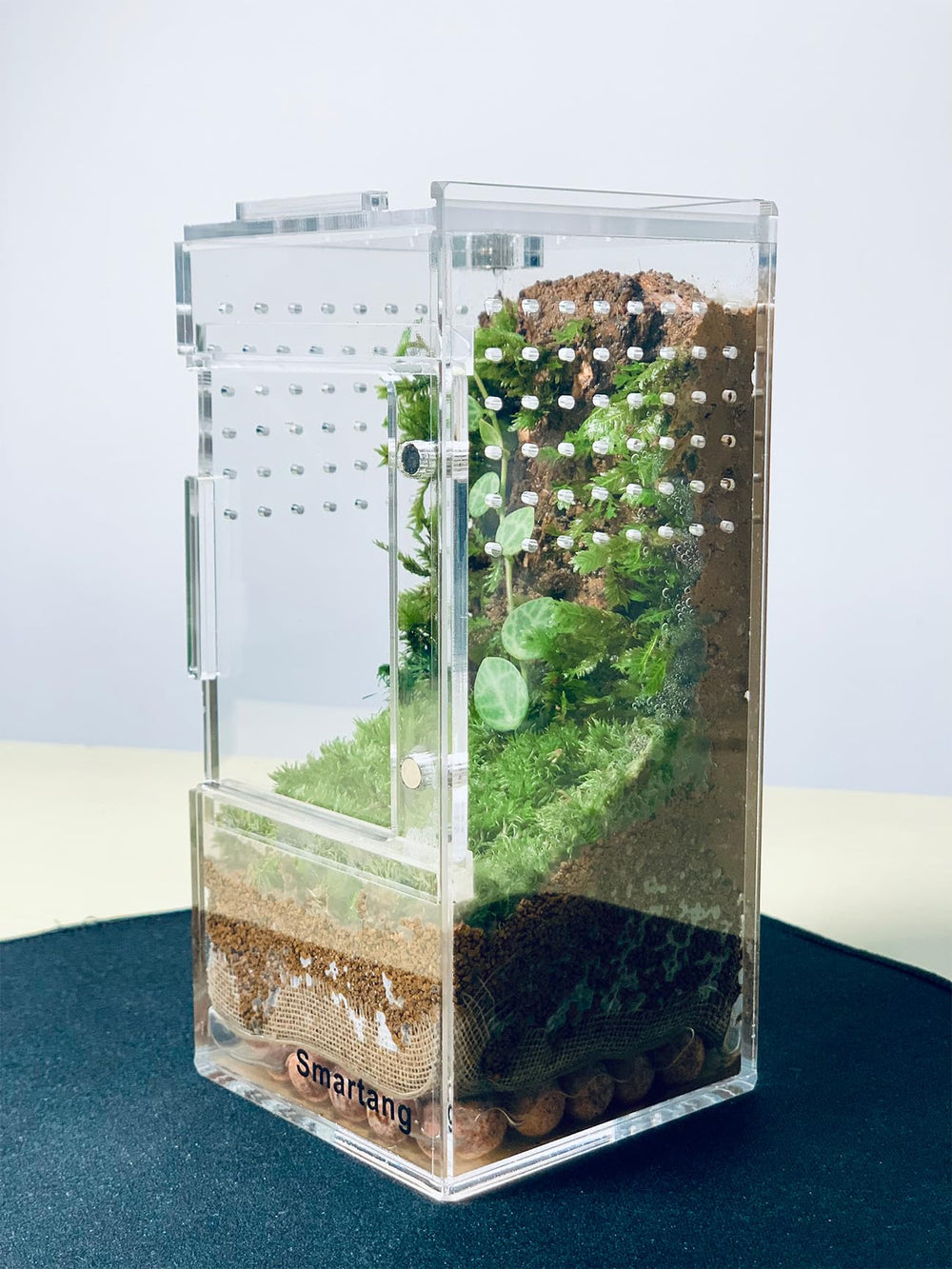 Terrarium Smartang préassemblé, gain de temps et sécurité.