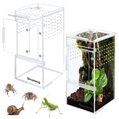 Smartang terrarium saut araignee 3x3x6, prêt à l’emploi pour observation.