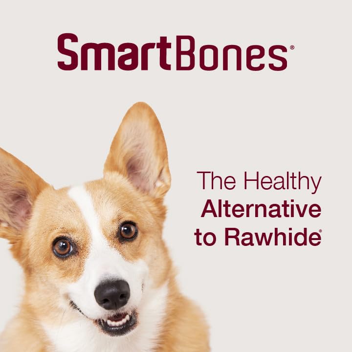 SmartBones batonnet-ide al-activite-chien, parfait pour l’entraînement.