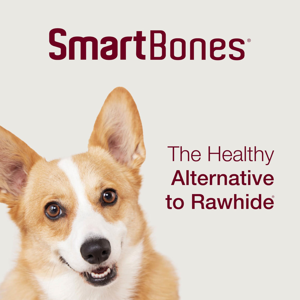 SmartBones Mini Chews pratique au quotidien : récompense saine pour chien.
