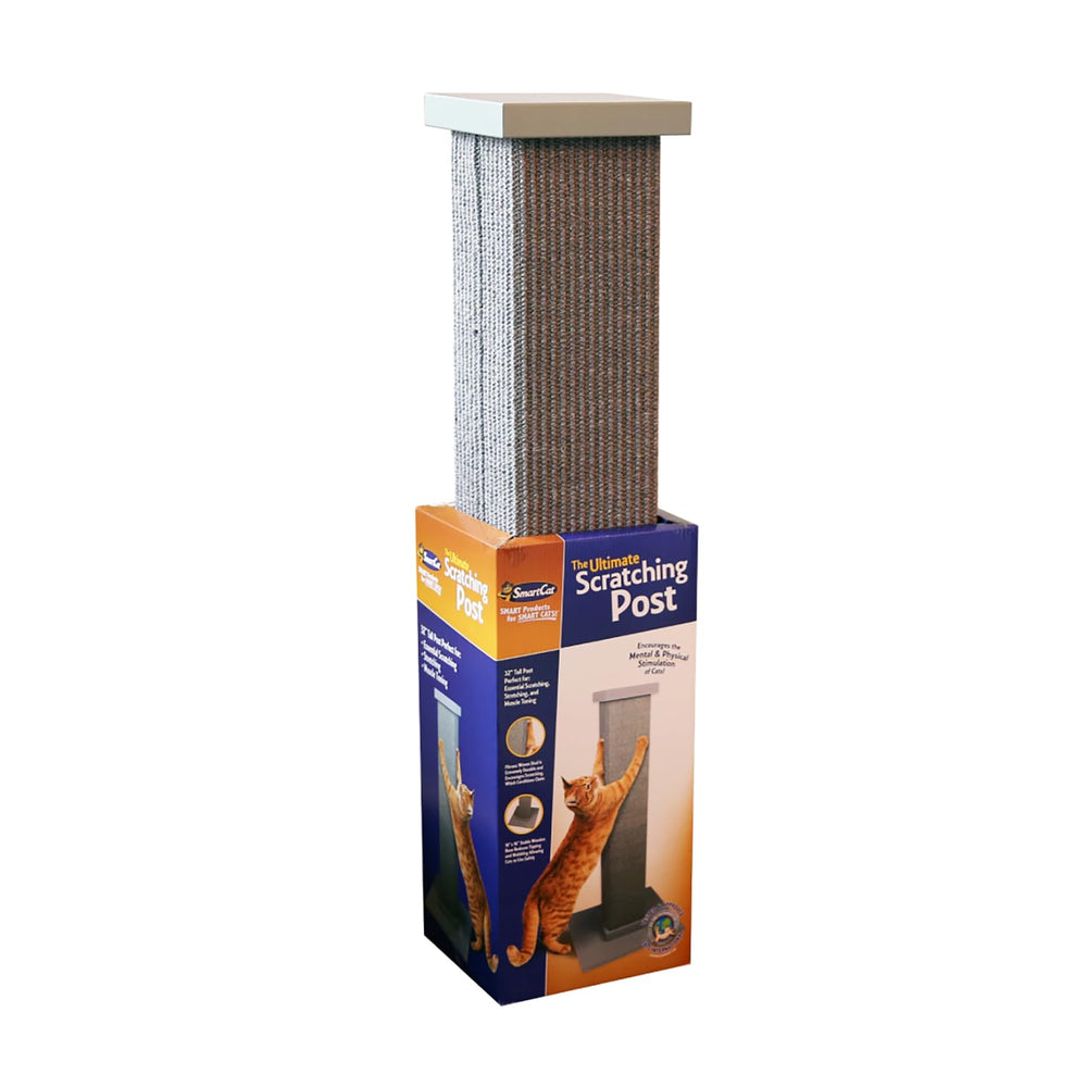 SmartCat ensemble complet, solution grattage élégante et fonctionnelle pour la maison.