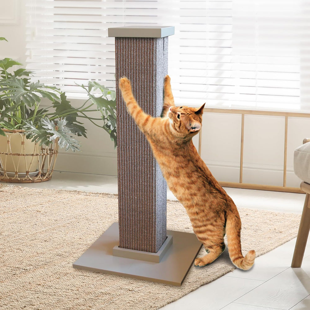 SmartCat colonne de 32 pouces, hauteur idéale pour étirement complet du chat.