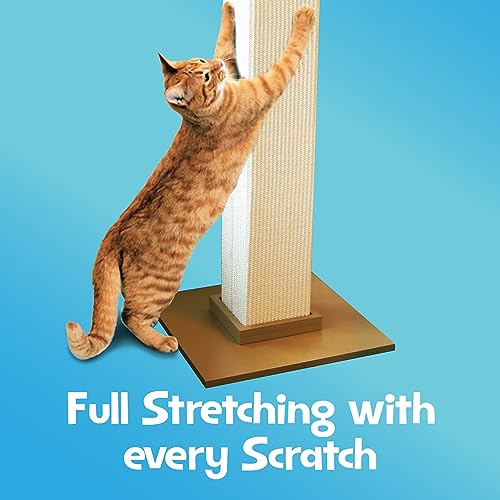 SmartCat Pioneer sisal durable pour griffage fiable