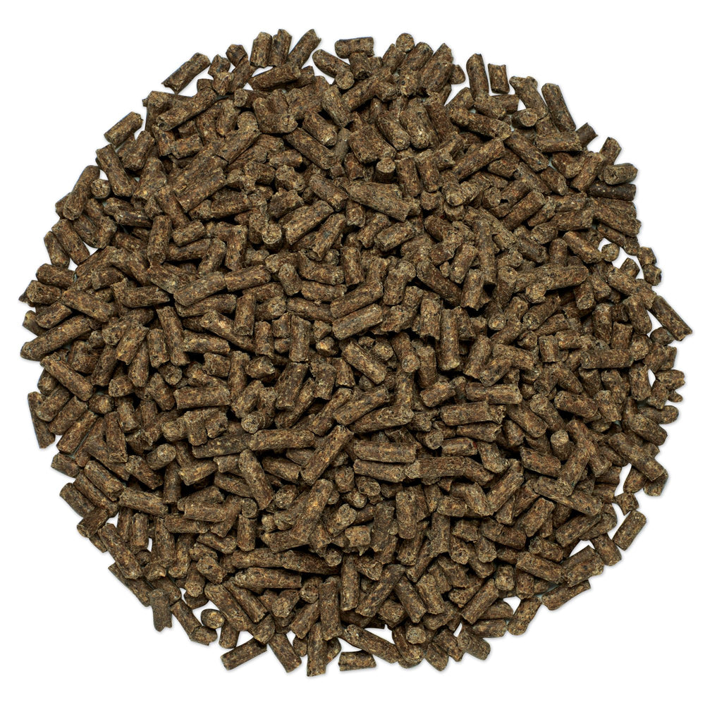 SmartEquine CocoHoof – doseur et portion recommandée facilitant l'utilisation quotidienne.
