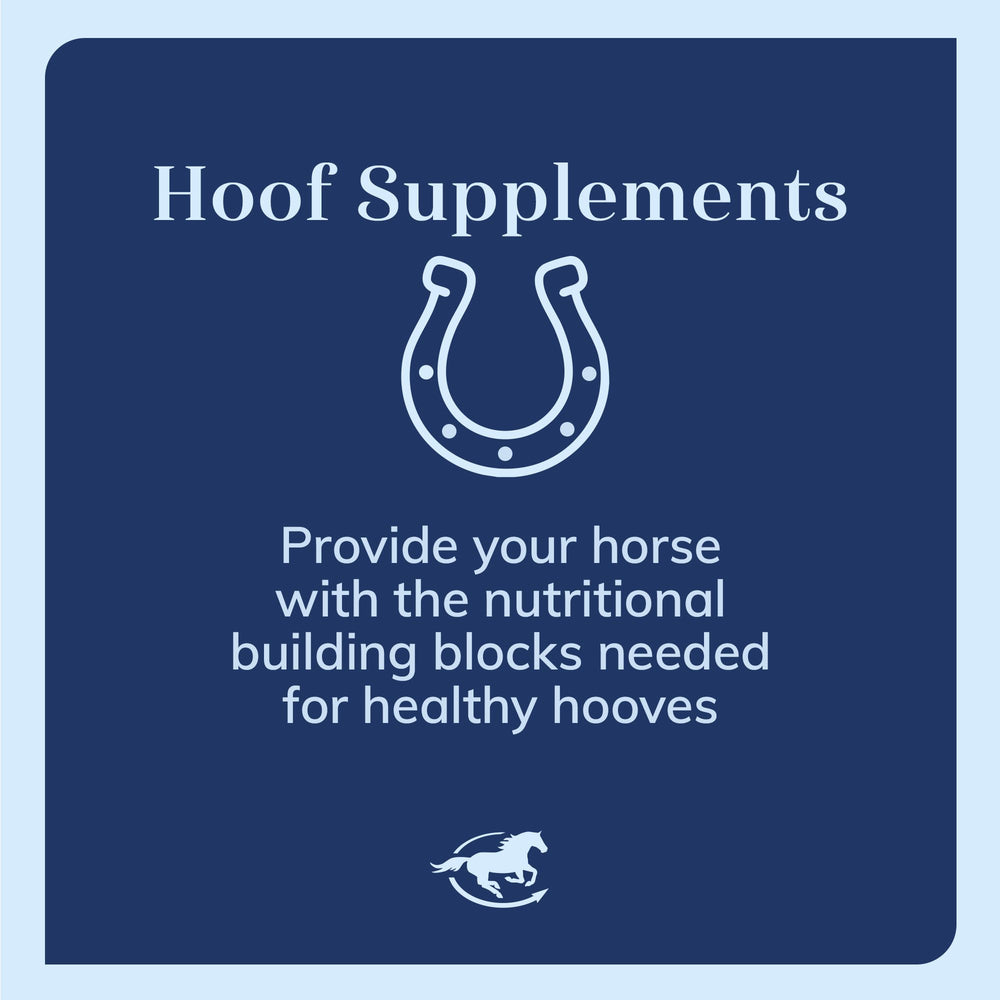 SmartEquine CocoHoof biotine et vitamines pour soutenir la synthèse des protéines du sabot.