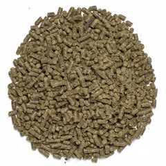 SmartEquine SmartHoof granulés — ingrédients biotine et méthionine pour le soin des sabots.