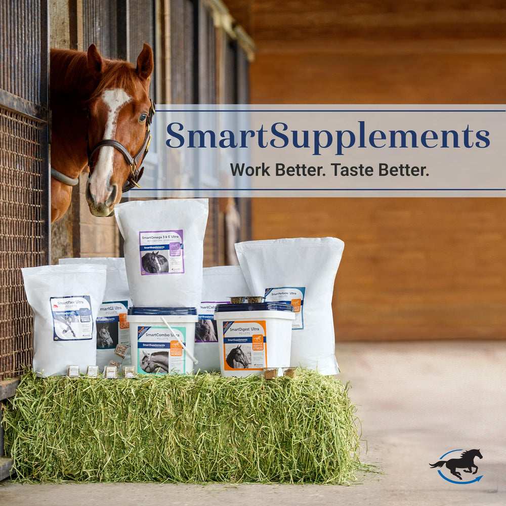 SmartEquine SmartVite Perform Senior Pellets cheval – idéal pour soutenir l’énergie et la vitalité.