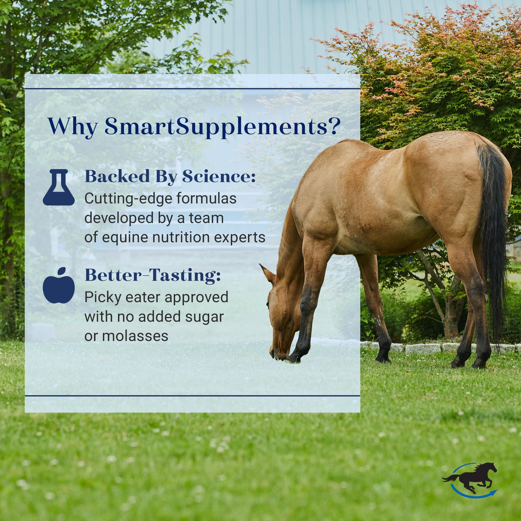SmartLytes Hydratation quotidienne — cheval et routine