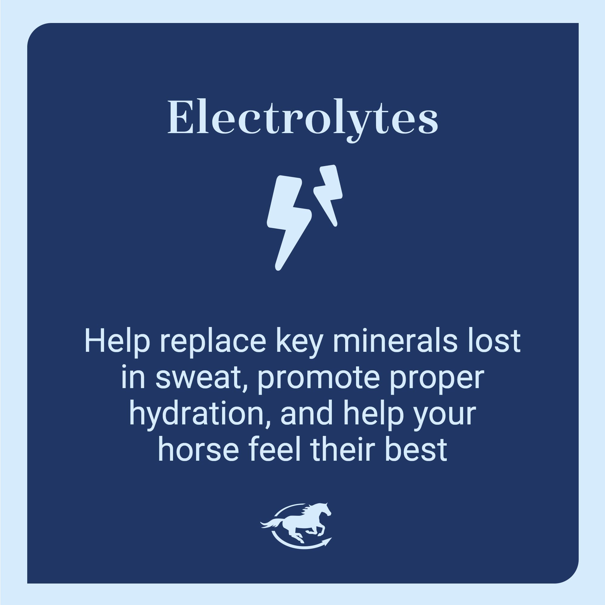 SmartLytes Pâte—minéraux essentiels pour cheval