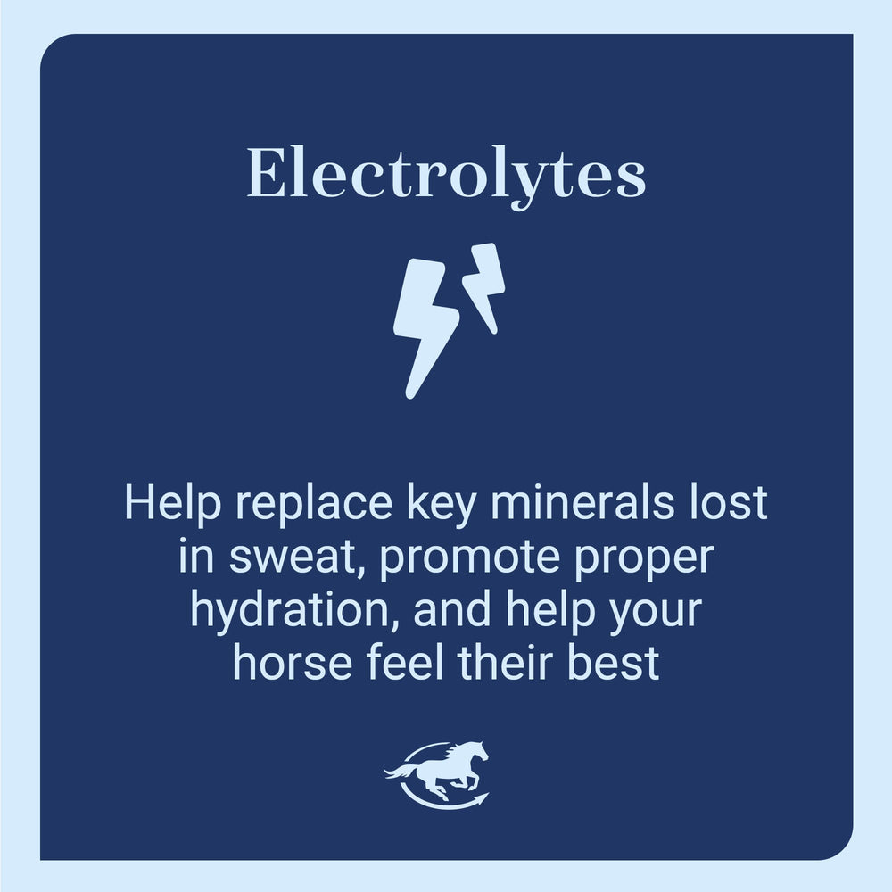 SmartLytes Pâte—minéraux essentiels pour cheval