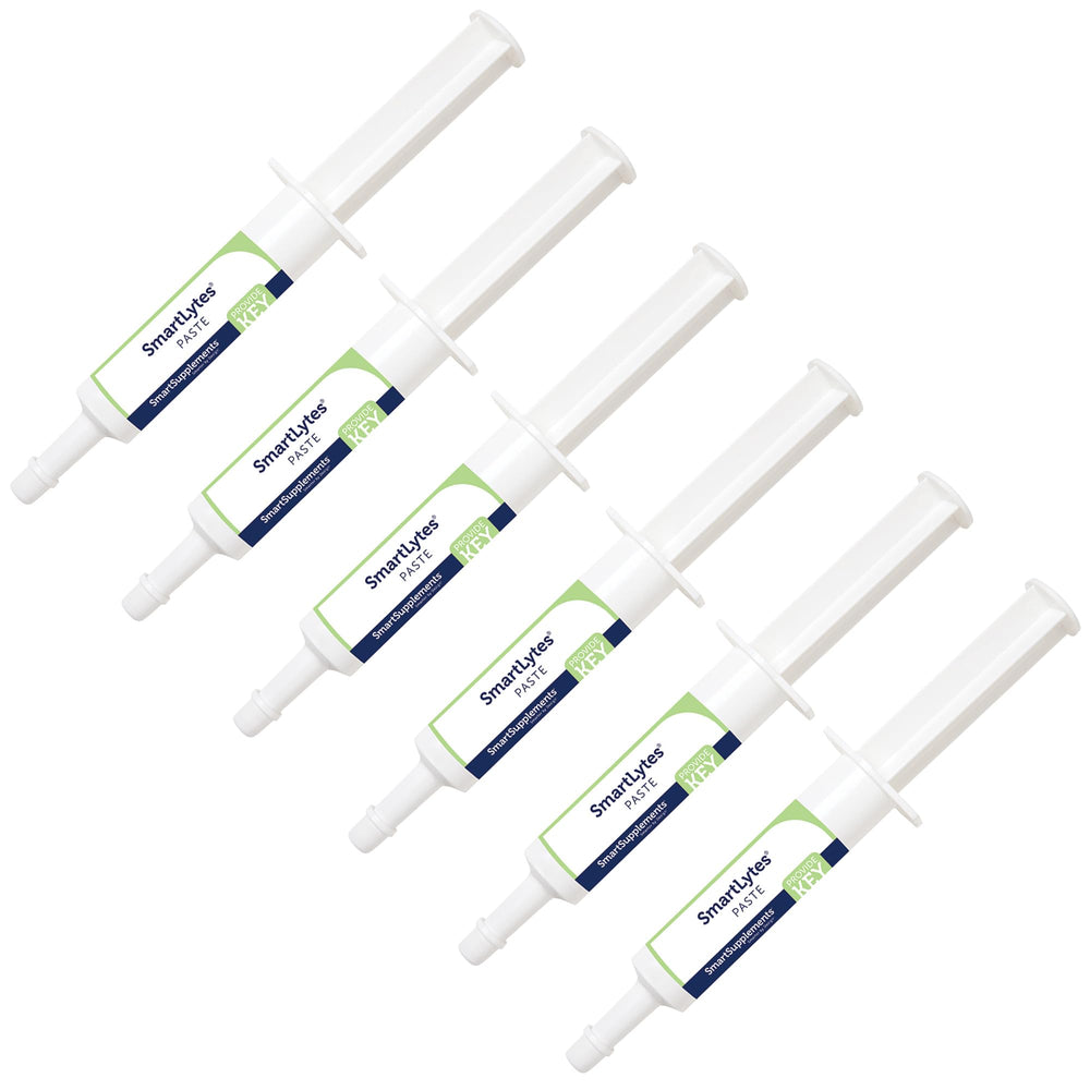 SmartLytes Pâte électrolytique pour cheval — tube avec goût pomme-banane