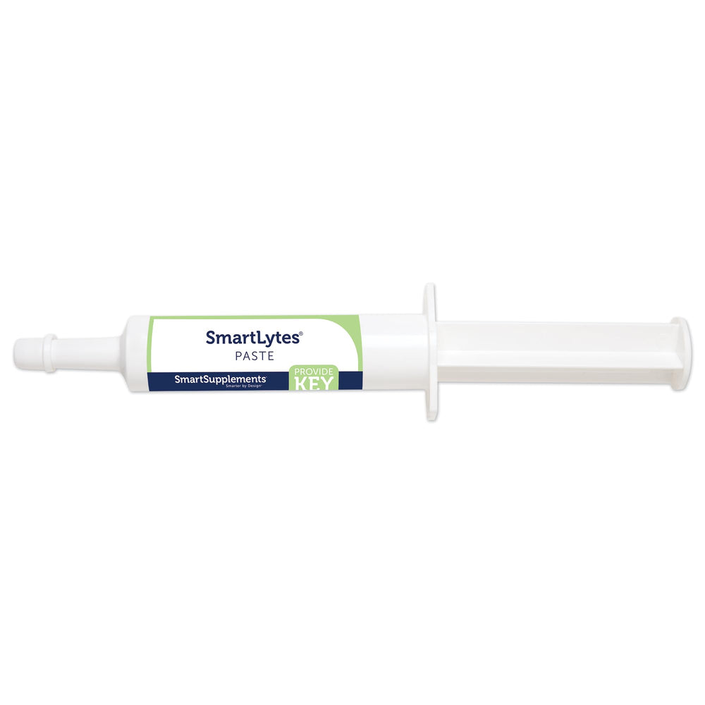 SmartLytes Pâte électrolytique cheval — tube pratique pour administration