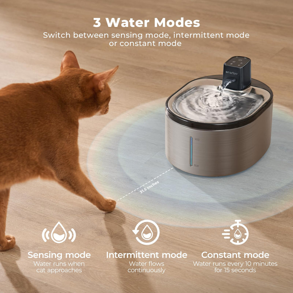 Smartoo fontaine eau chat, grande capacité 4,5 litres pour hydratation prolongée.