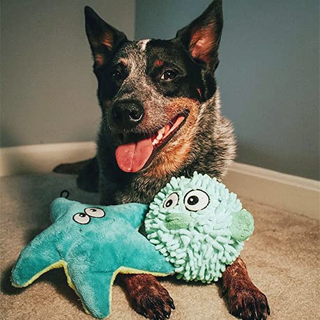 SmartPetLove Snuggle Puppy nettoyage facile après jeux et câlins.