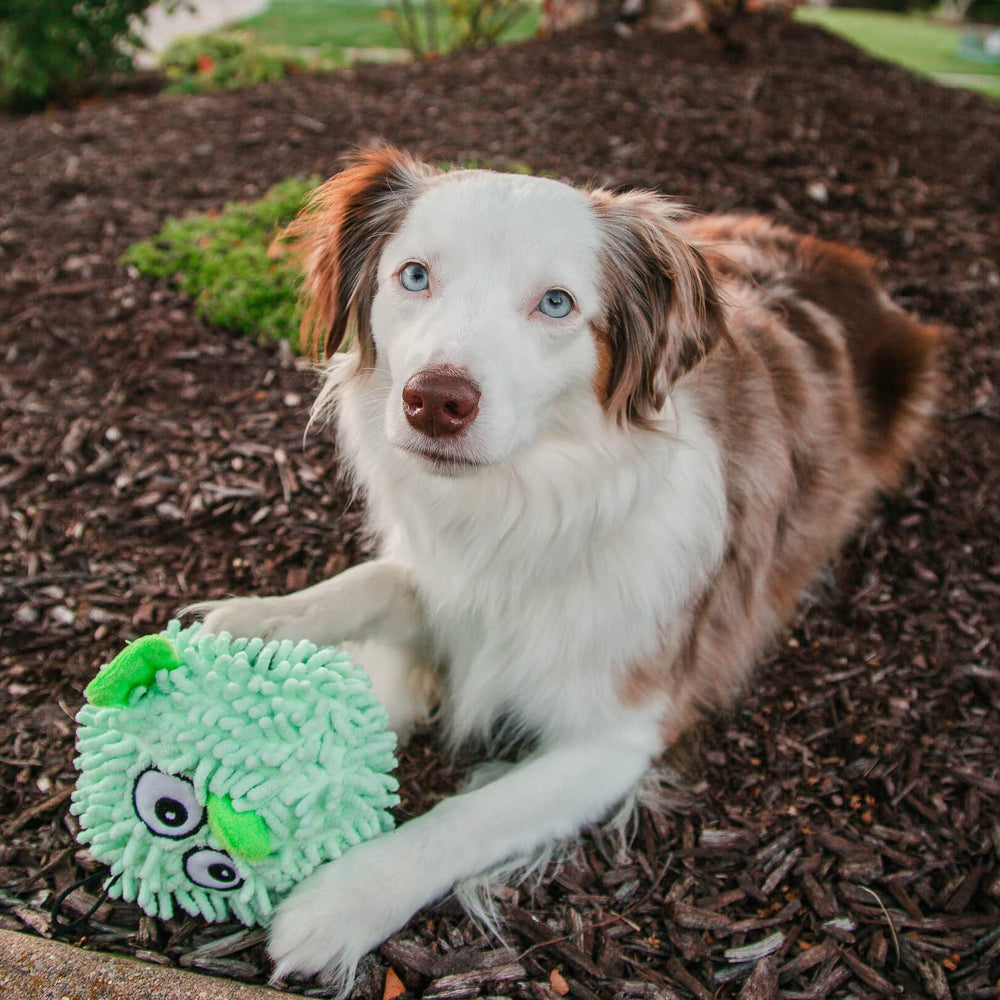 SmartPetLove Snuggle Puppy peluche résistante pour jeux doux et mordilages répétés.