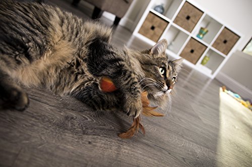 Marque SmartyKat, qualité et plaisir pour les chats.