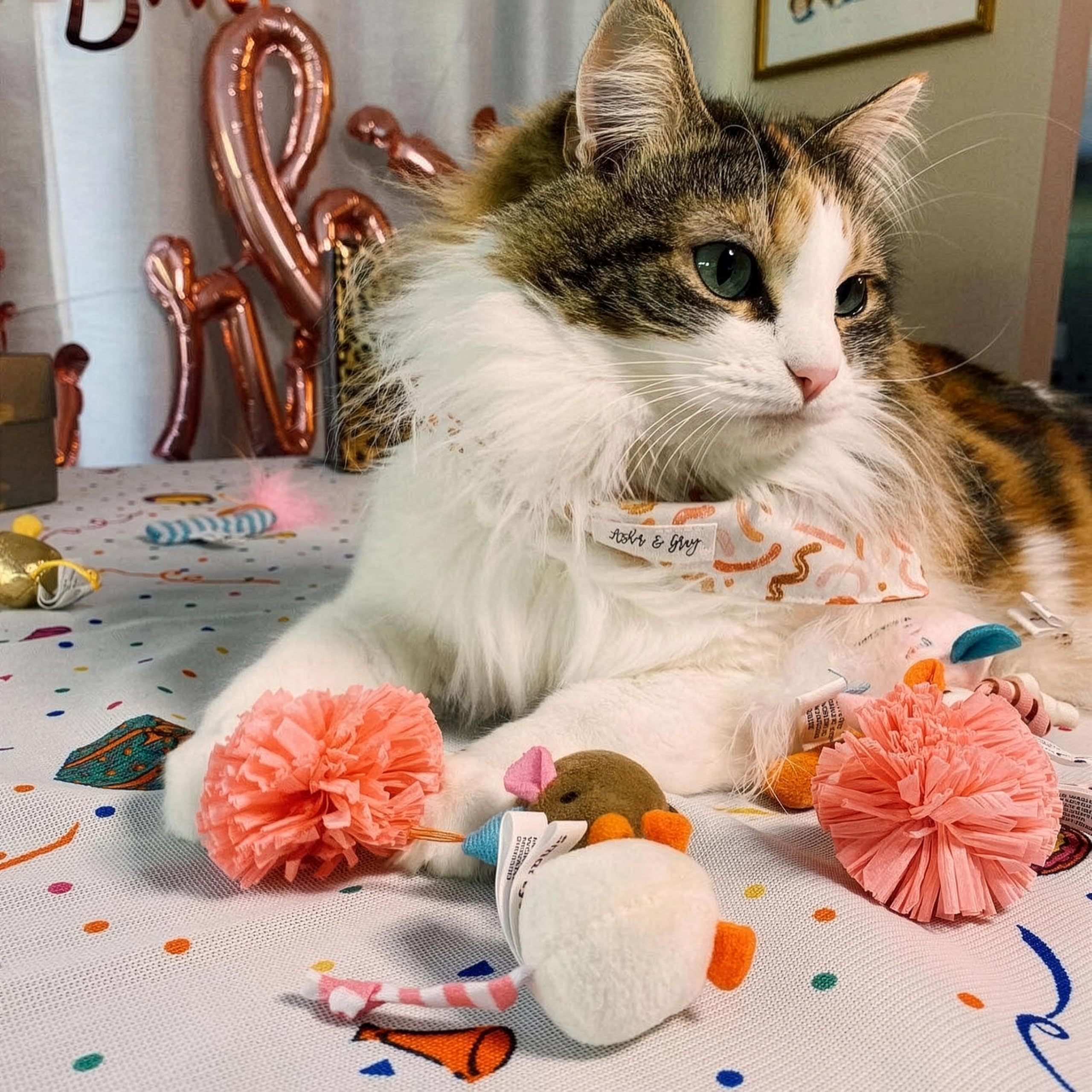 SmartyKat Boule-rafia-jouet-chat: idée de jeu longue durée et réutilisable.