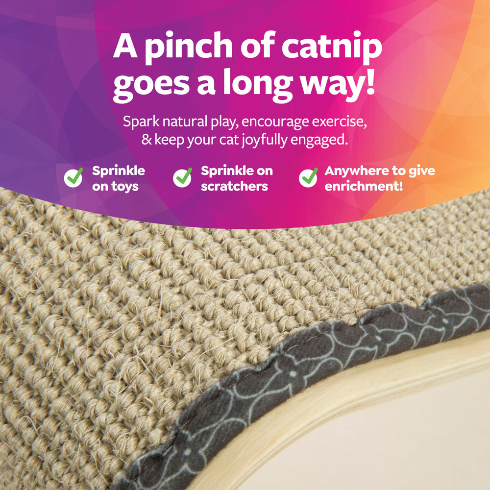 Catnip bio inclus — incite votre chat à tester rapidement la rampe.