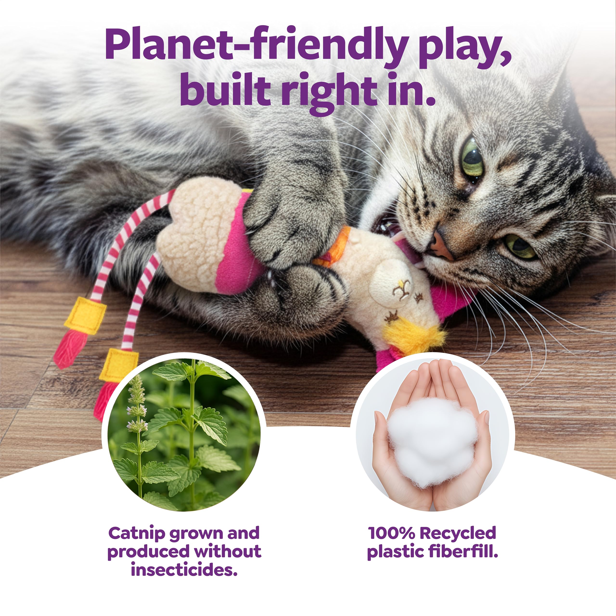 Catnip intégré pour éveiller l’instinct de chasse et curiosité.