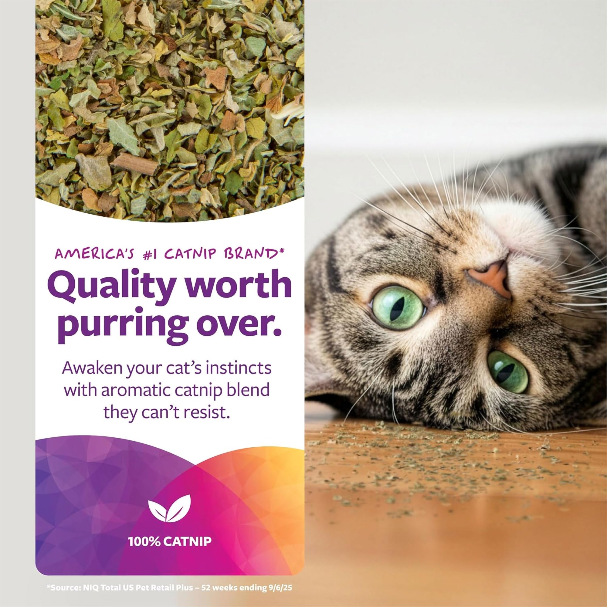 SmartyKat Catnip saupoudré sur un griffoir, rallume l'intérêt des chats.