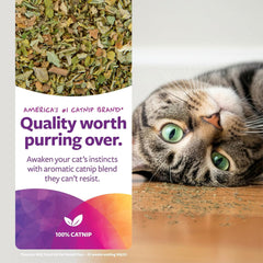 SmartyKat Catnip saupoudré sur un griffoir, rallume l'intérêt des chats.
