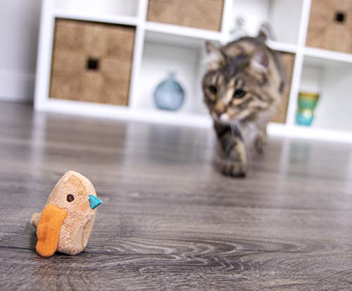 SmartyKat Chickadee Chirp: exercice et agilité féline encouragés