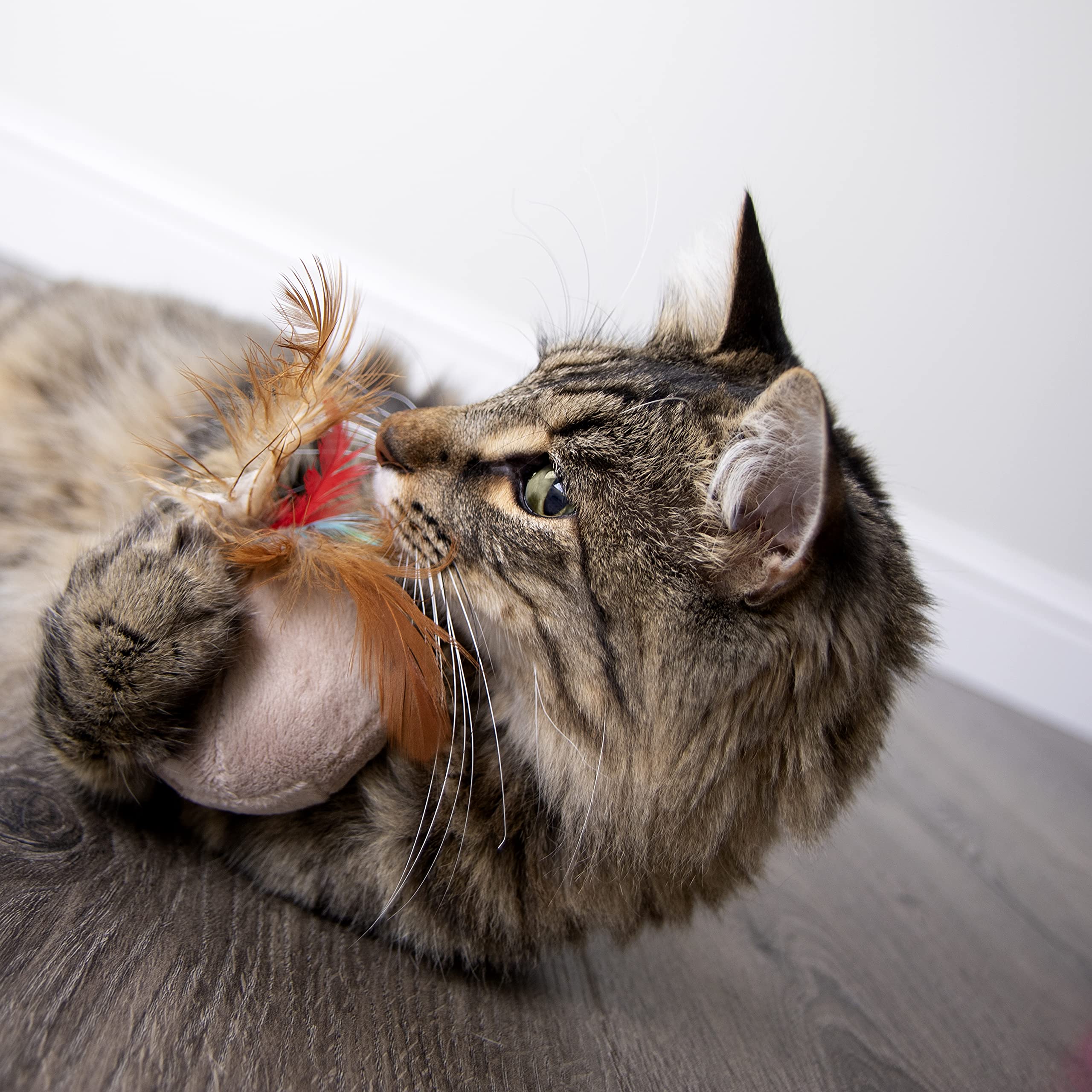 Jeu en solo ou interactif, idéal pour lier vous et votre chat
