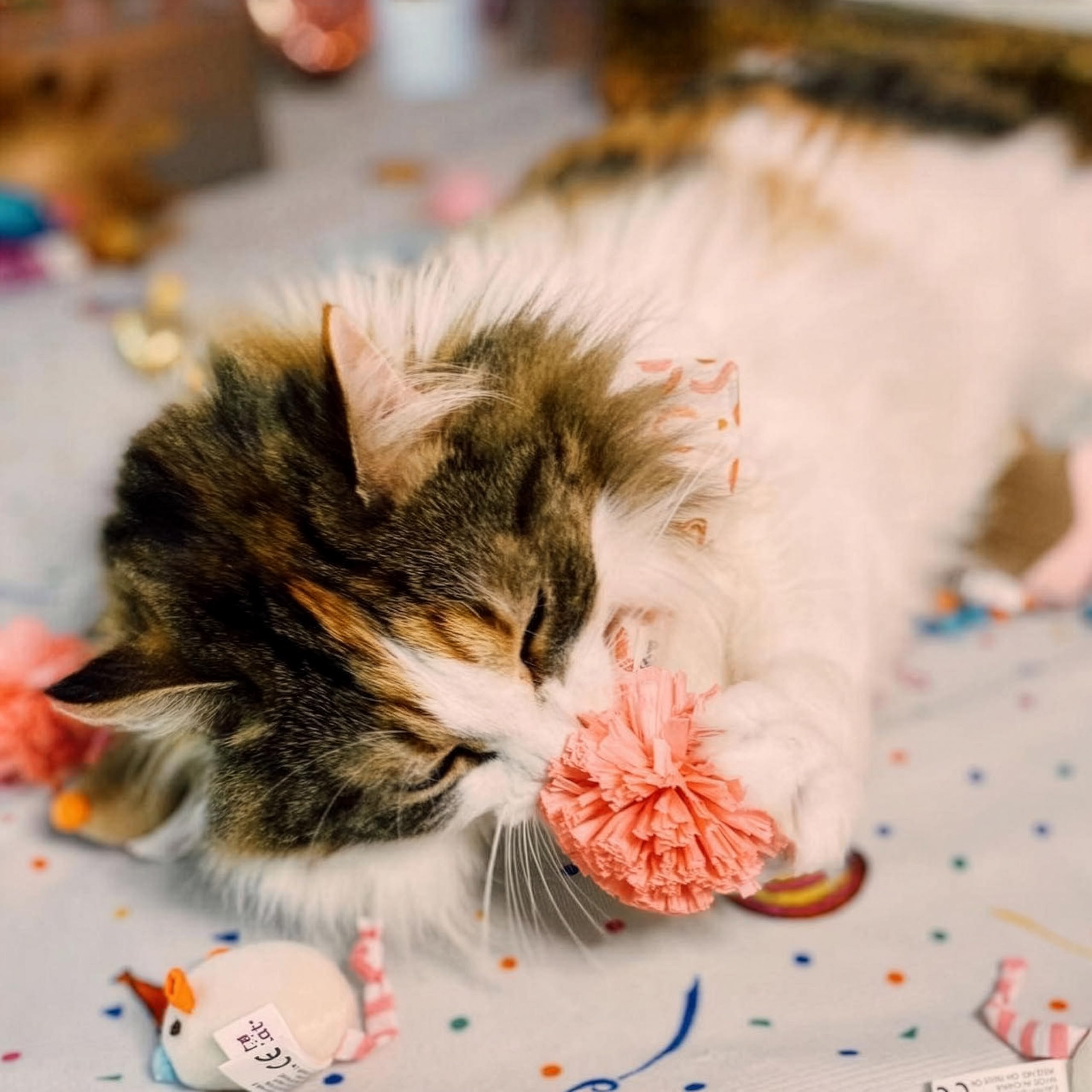 SmartyKat Coffret-jouets-chat-16-pieces: choix polyvalent pour amusement et exercice.