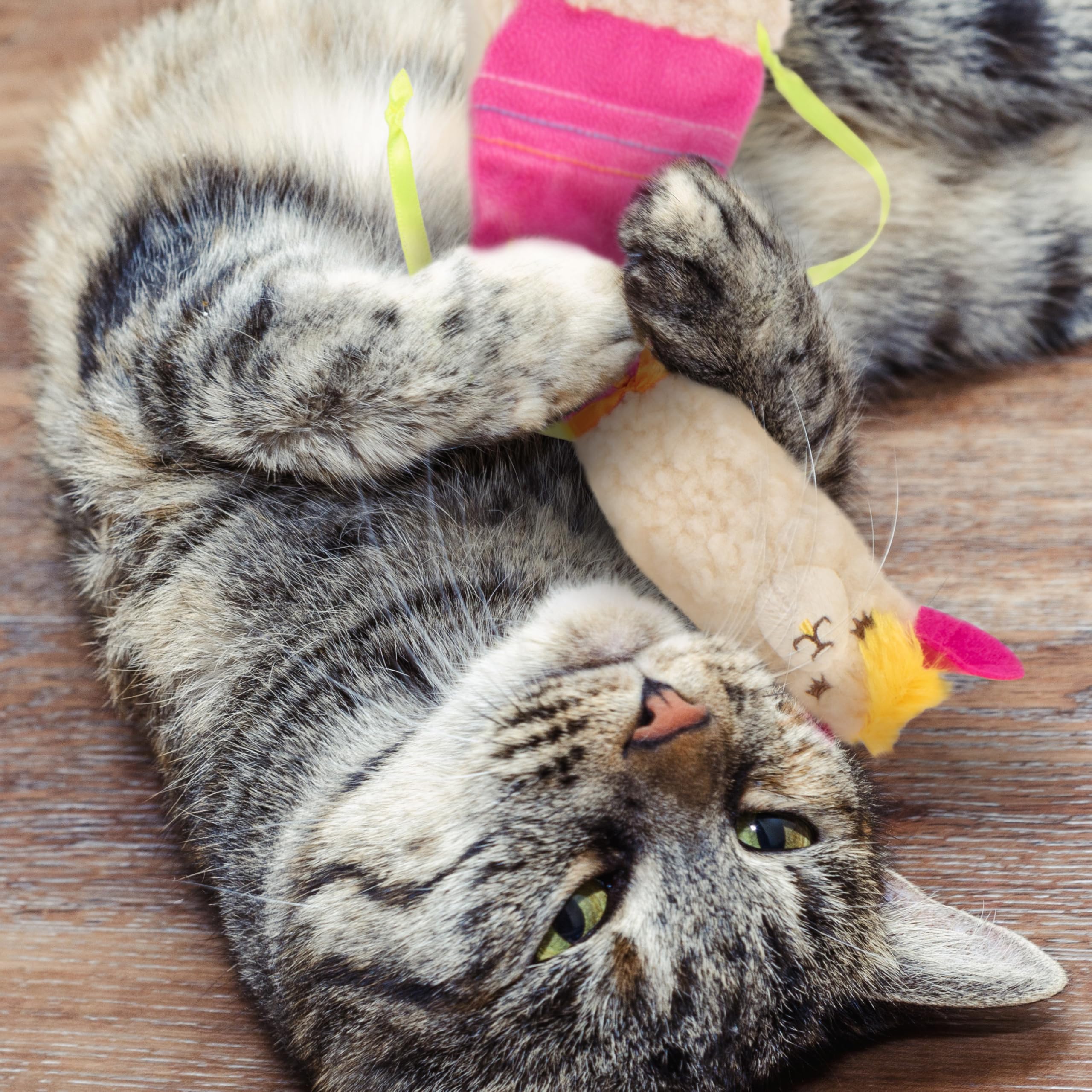 Conception sûre et durable pour chats actifs.