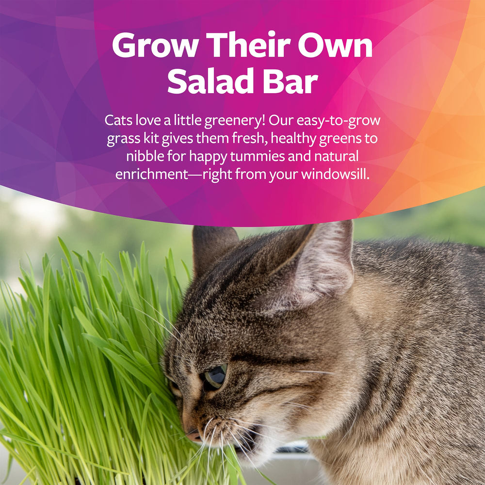 SmartyKat-emballage-recyclable-chat, emballage durable et pratique.