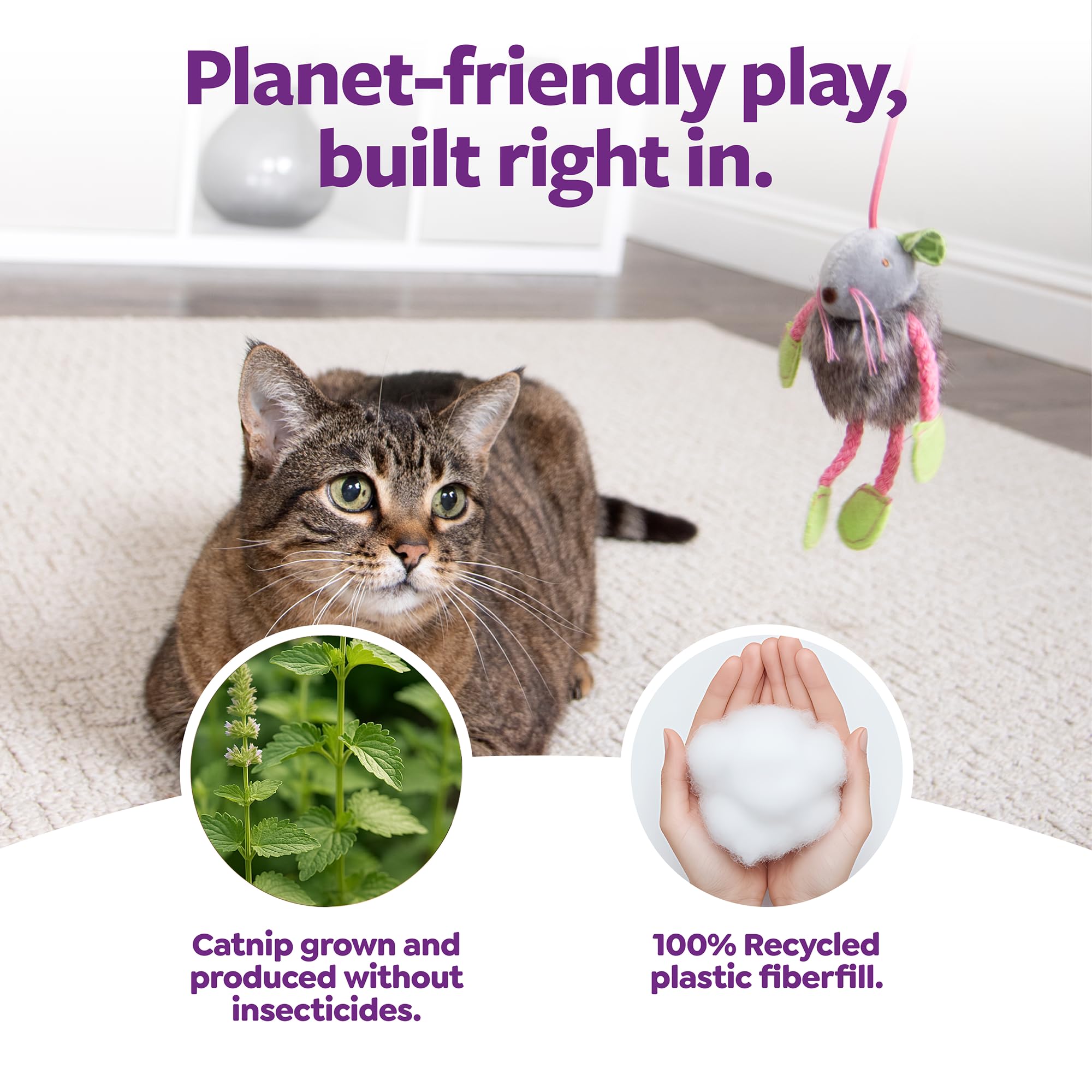 SmartyKat ensemble de 3 jouets pour chats actifs