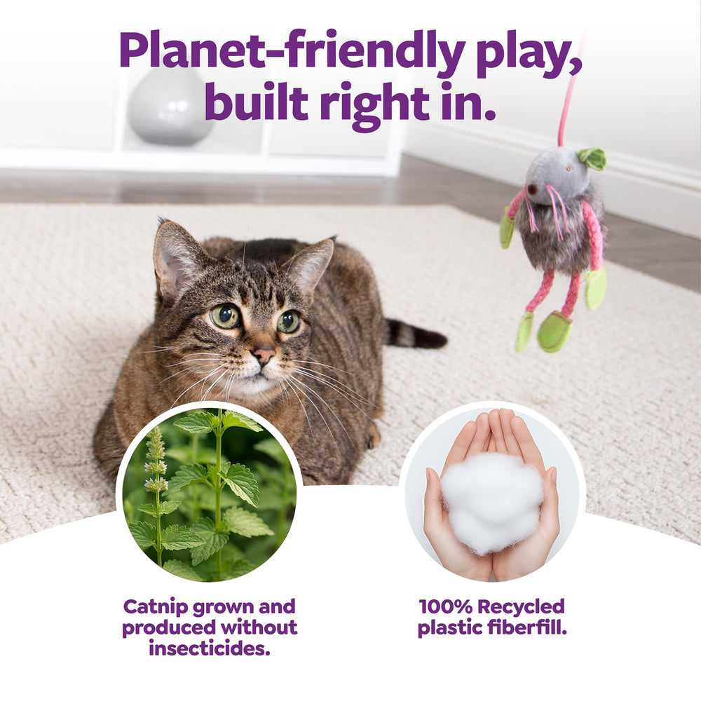 SmartyKat ensemble de 3 jouets pour chats actifs