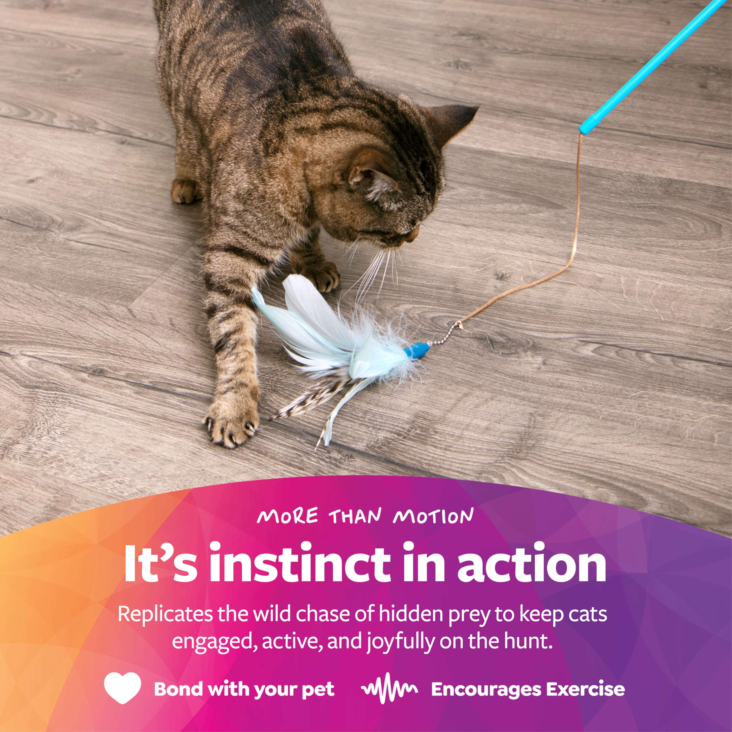SmartyKat Frisky Flyer étend son long manche pour atteindre le chat joueur