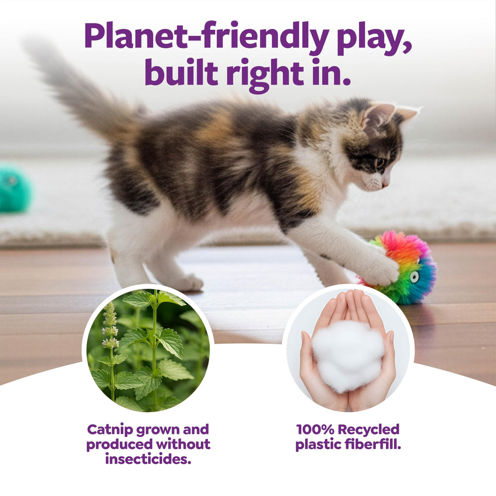 Chat s’amuse avec la balle arc-en-ciel SmartyKat Fuzzy Friends.